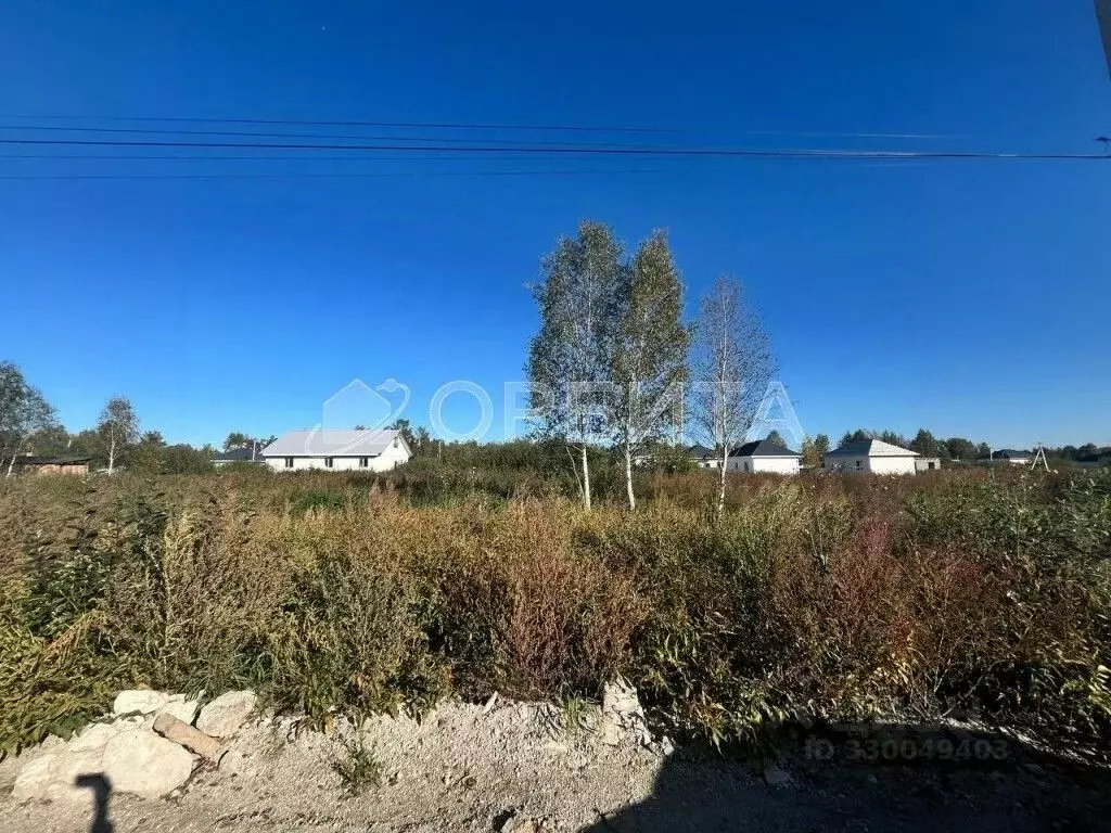 Участок в Тюменская область, Тюмень Ясень садовое товарищество, ул. ... - Фото 2