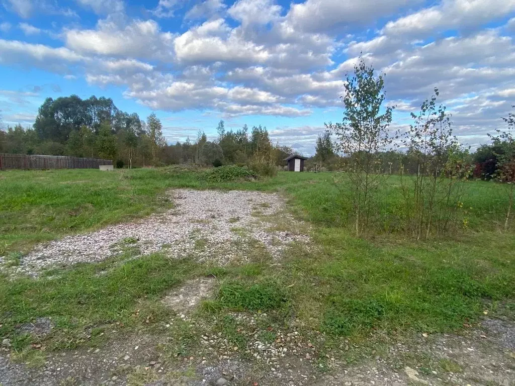 Участок в Новгородская область, Новгородский район, Ракомское с/пос, ... - Фото 2