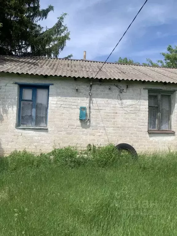 Дом в Белгородская область, Вейделевка рп ул. Октябрьская, 104 (38 м) - Фото 1