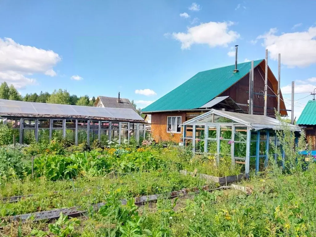 Коттедж в Пермский край, Березники № 47 СНТ, (36 м) - Фото 1