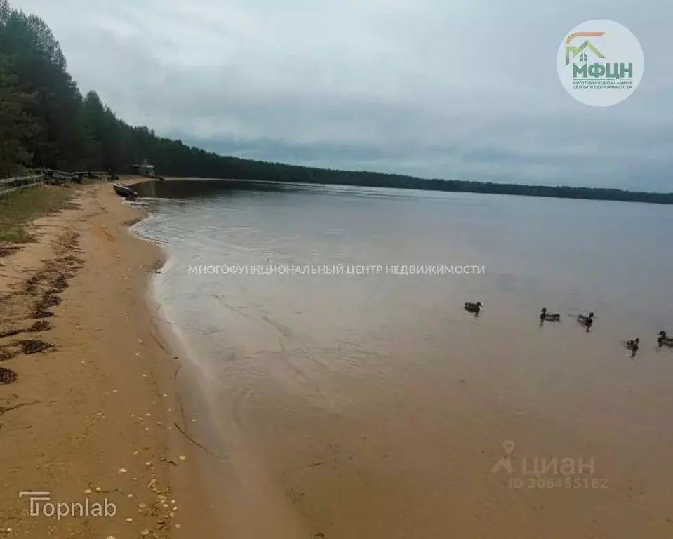 Участок в Карелия, Пряжинский район, Эссойльское с/пос, д. Ангенлахта  ... - Фото 0