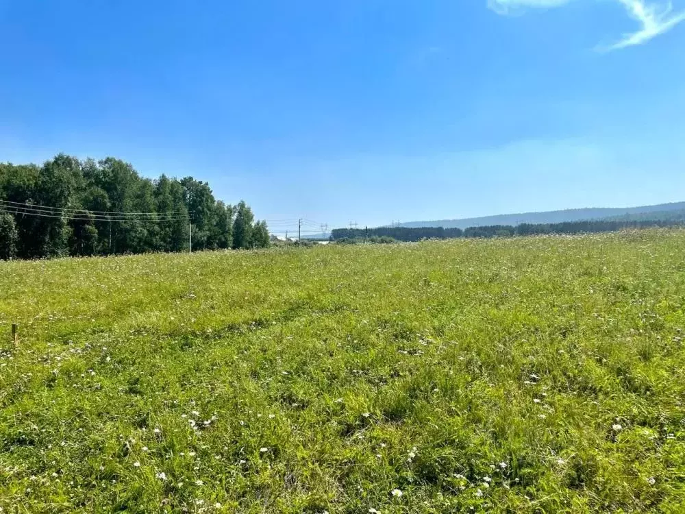 Участок в Иркутская область, Шелеховский район, Баклашинское ... - Фото 1