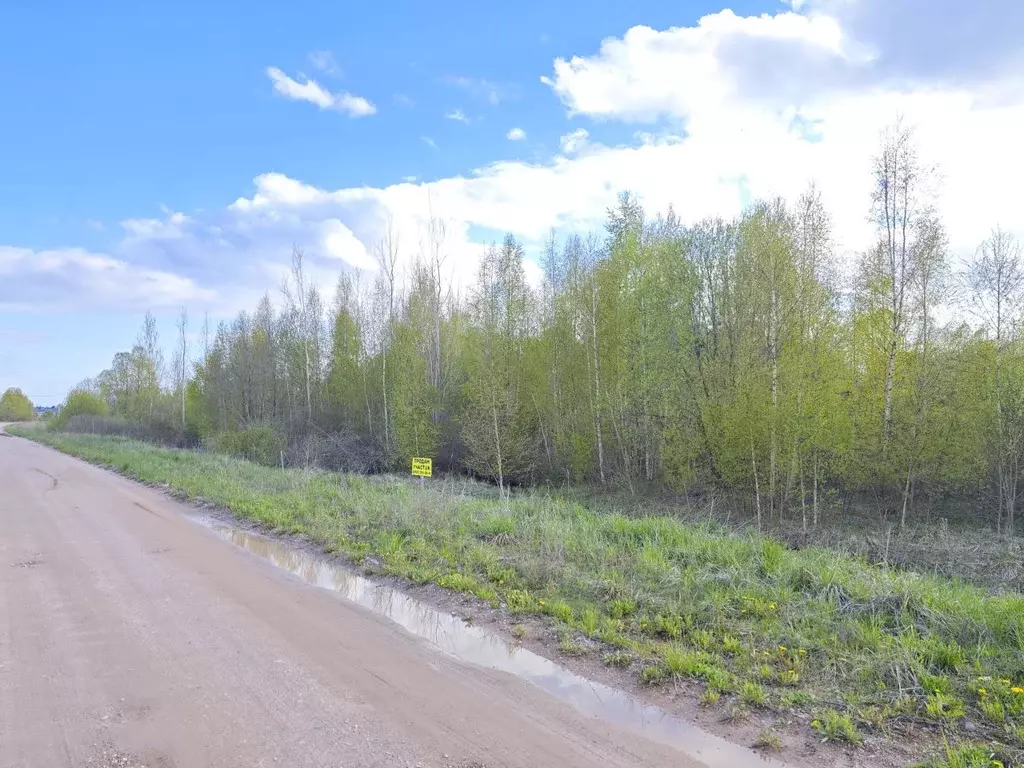 Участок в Новгородская область, Новгородский район, Ракомское с/пос  ... - Фото 2