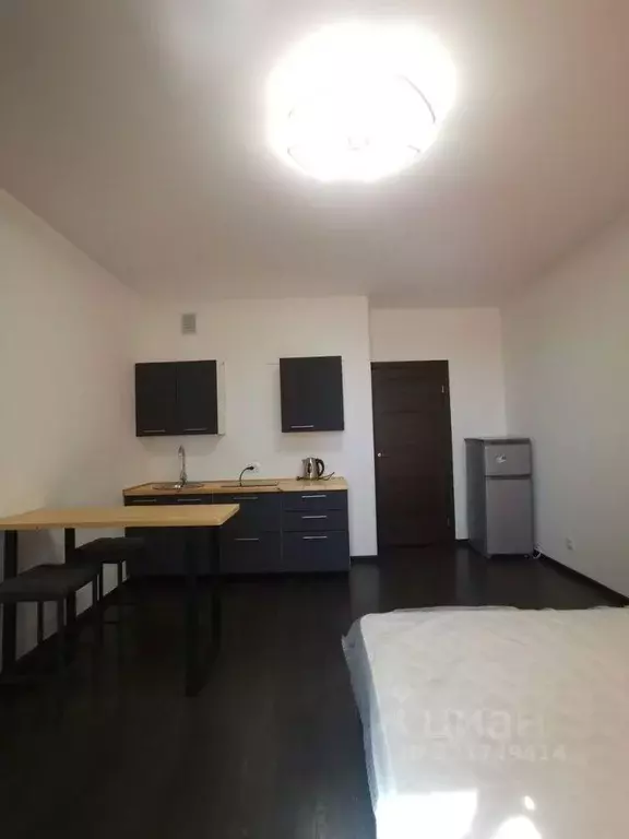 Студия Санкт-Петербург просп. Авиаконструкторов, 69 (24.9 м) - Фото 0