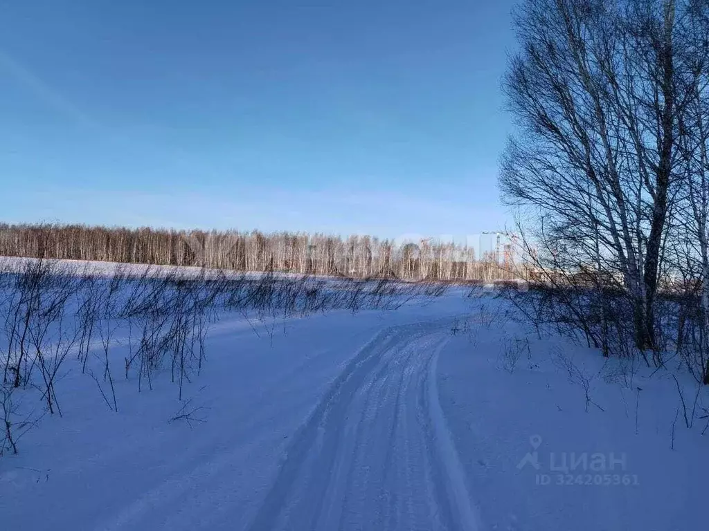 Участок в Новосибирская область, Кольцово рп ул. Кедровая (87.92 сот.) - Фото 2