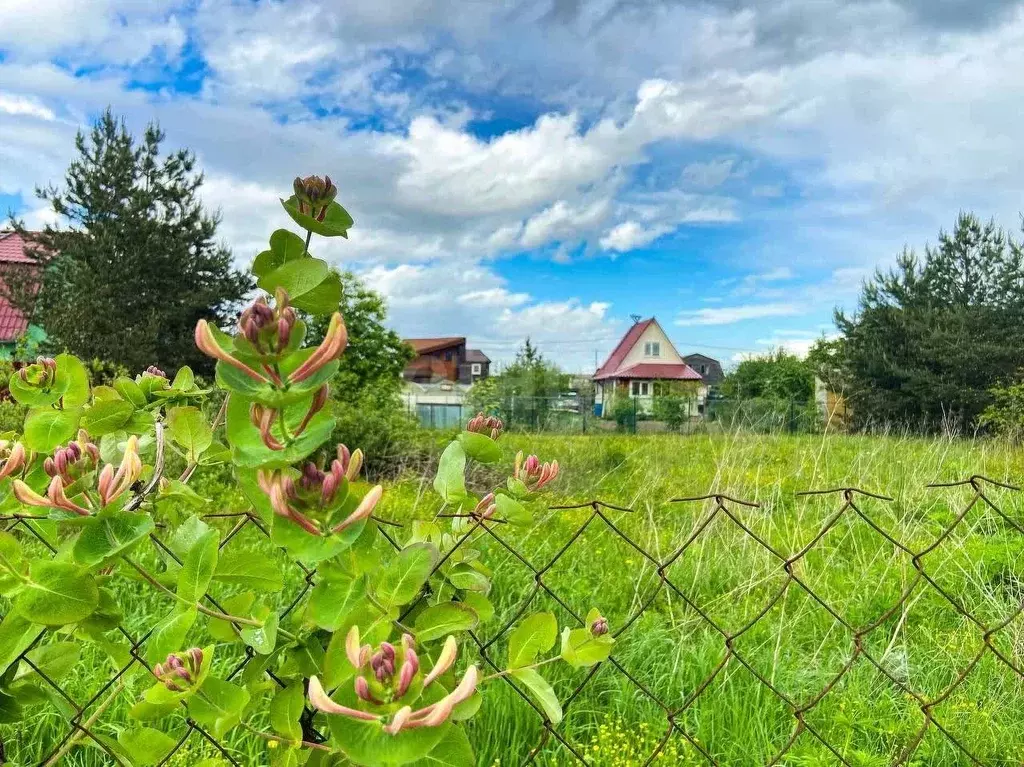 Участок в Ленинградская область, Ломоносовский район, Аннинское ... - Фото 1