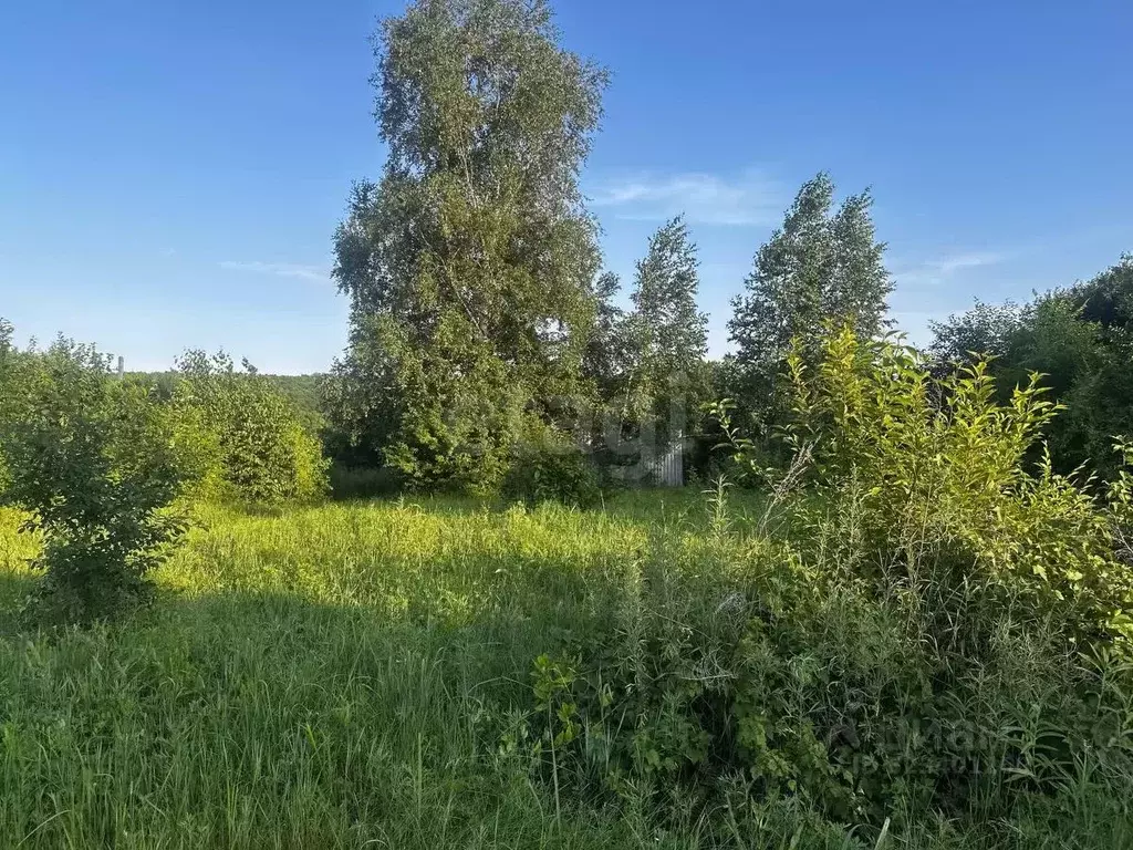 Участок в Амурская область, Благовещенск  (7.87 сот.) - Фото 1