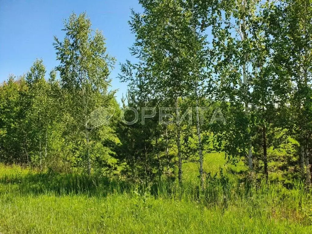 Участок в Тюменская область, Тюмень ул. Угорская (10.0 сот.) - Фото 1