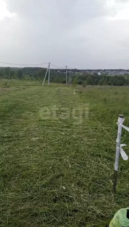 Участок в Нижегородская область, Богородский муниципальный округ, д. ... - Фото 1