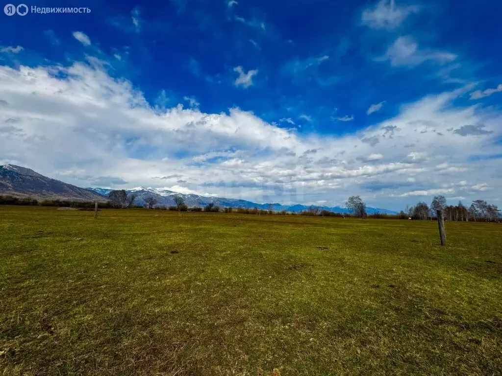 Участок в село Усть-Кокса, улица Нагибина (14.8 м) - Фото 1