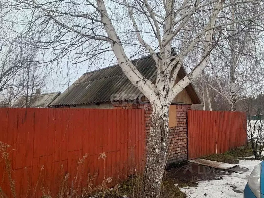 Дом в Кемеровская область, Прокопьевск Парковая ул., 254А (72 м) - Фото 1
