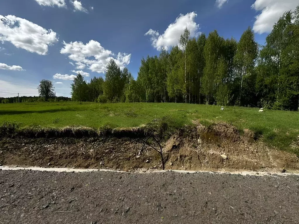Участок в Ленинградская область, Всеволожский район, Куйвозовское ... - Фото 0