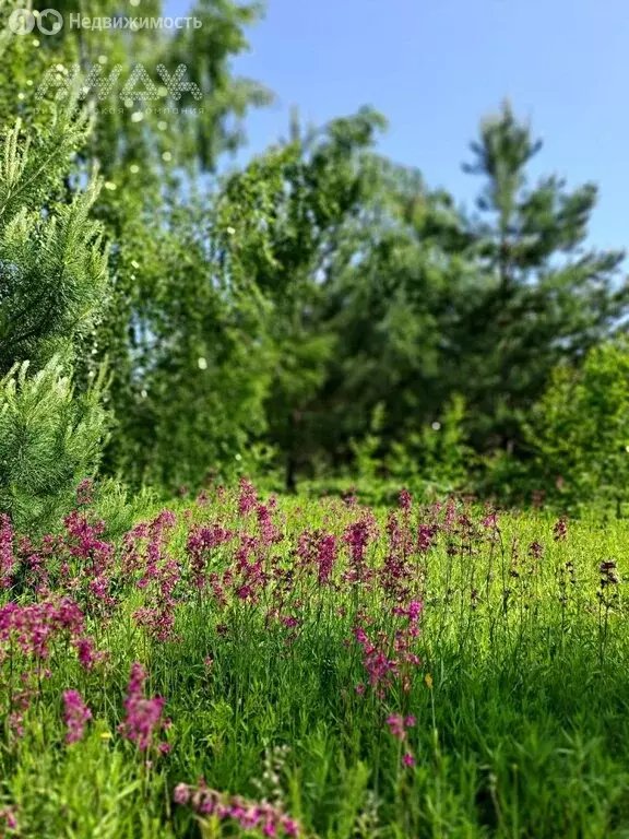 Участок в Шумилово, коттеджный посёлок Сан Сити (21 м) - Фото 0