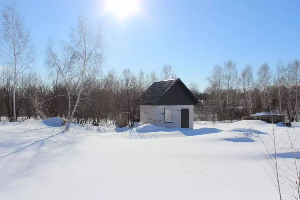 Участок в Алтайский край, Барнаул городской округ, пос. Бельмесево ... - Фото 2