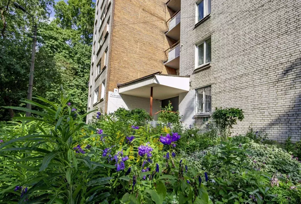 1-к кв. Санкт-Петербург просп. Раевского, 9 (35.0 м) - Фото 2