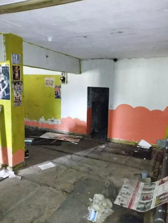 Помещение свободного назначения в Московская область, Ступино ул. ... - Фото 1