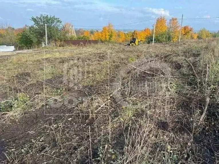 Участок в Воронежская область, Рамонский район, Новоживотинновское ... - Фото 1