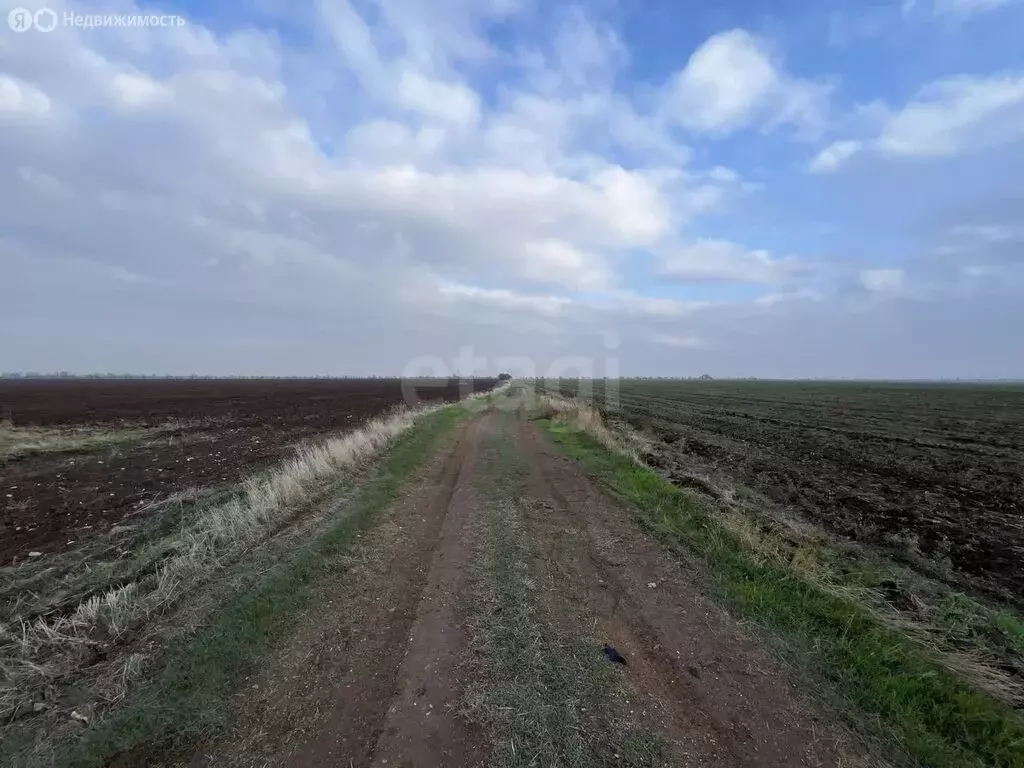 Участок в Сакский район, Ореховское сельское поселение, село Червоное ... - Фото 1