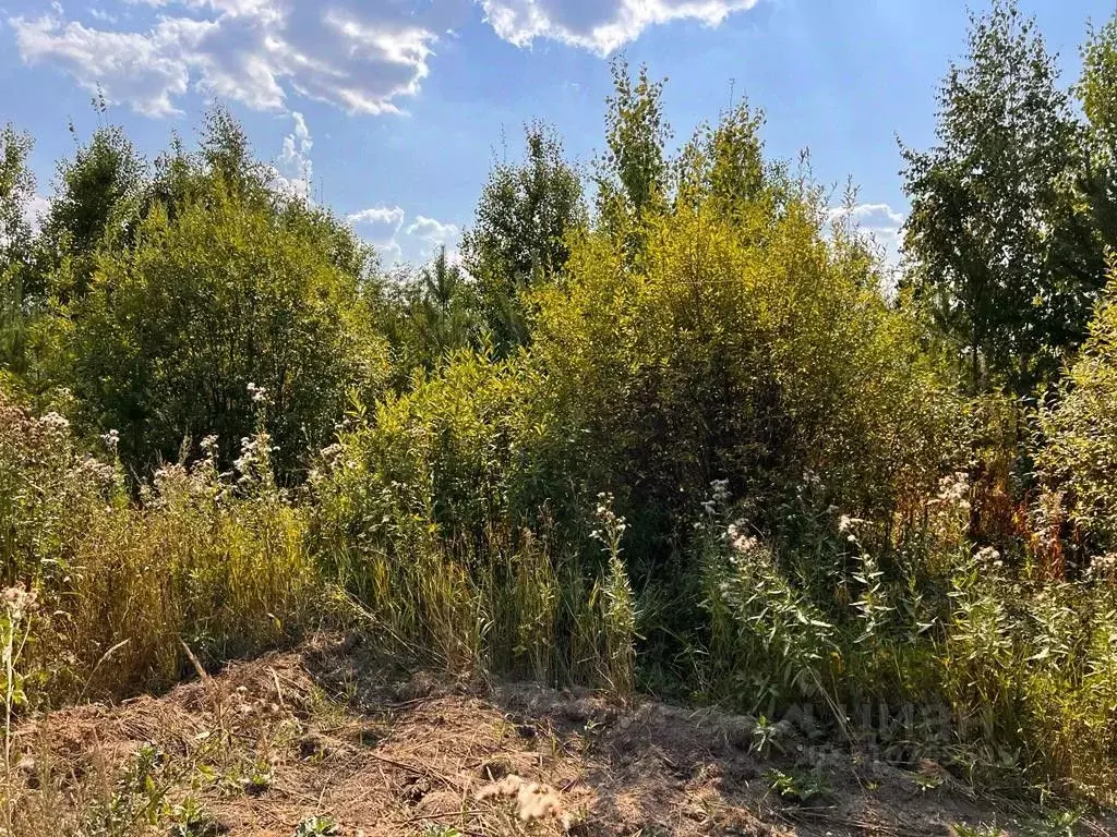 Участок в Свердловская область, Сысертский муниципальный округ, с. ... - Фото 1