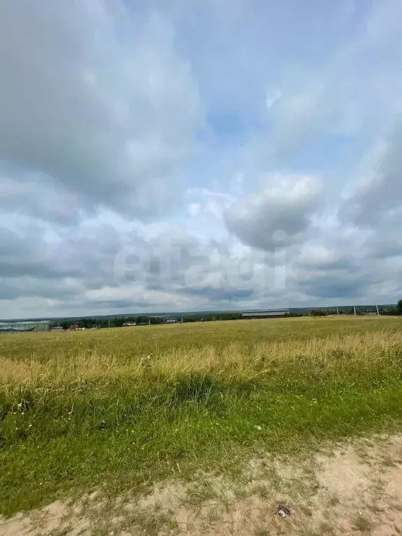 Участок в Калужская область, Тарусский муниципальный округ, Похвиснево ... - Фото 1