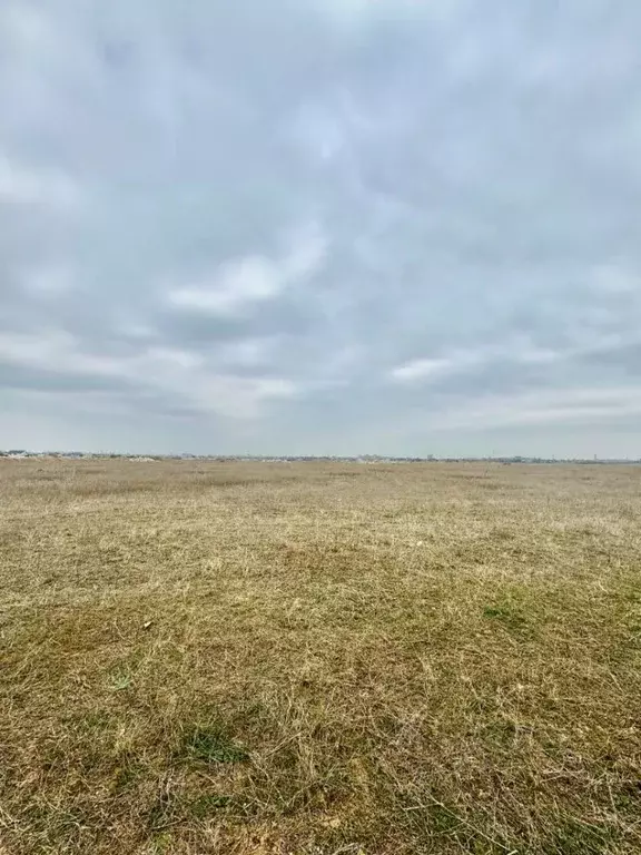 Участок в Крым, Сакский район, с. Уютное ул. Миндальная (8.0 сот.) - Фото 2