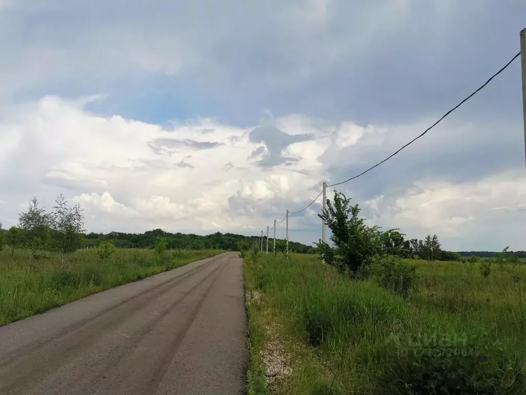 Участок в Липецкая область, Хлевенский район, Конь-Колодезский ... - Фото 1
