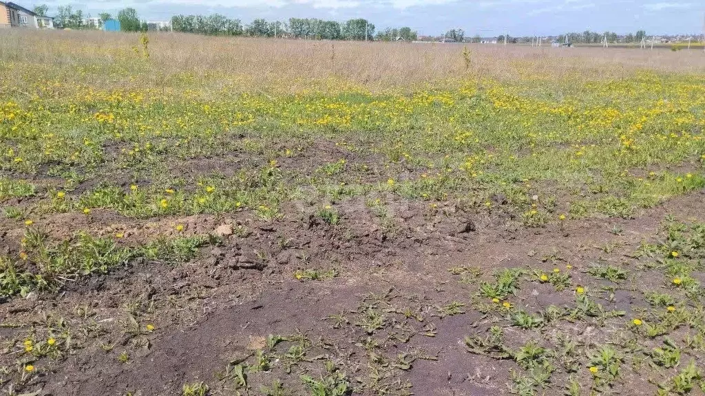 Участок в Белгородская область, Корочанский муниципальный округ, ... - Фото 1