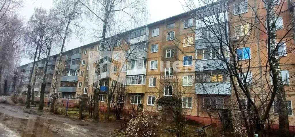 1-к кв. Ивановская область, Иваново ул. Шубиных, 4 (31.0 м) - Фото 1