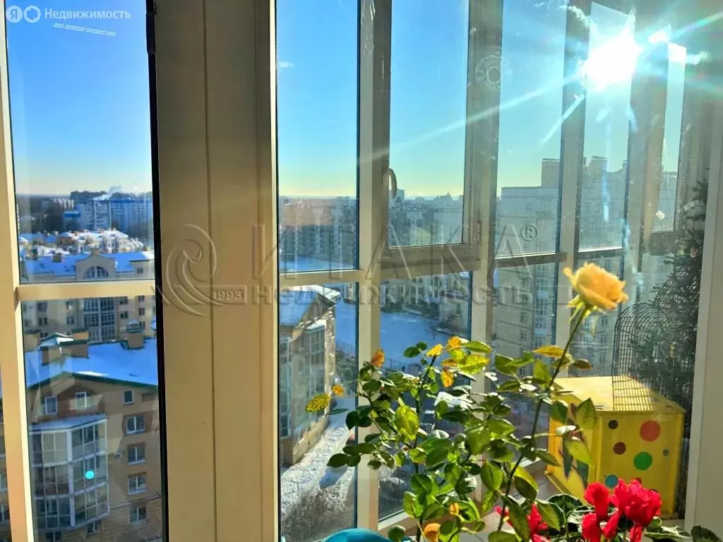 1-комнатная квартира: Санкт-Петербург, проспект Маршала Жукова, 48к1 ... - Фото 2