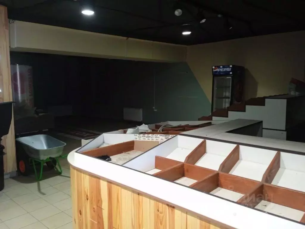 Торговая площадь в Удмуртия, Ижевск Совхозная ул., 113 (160 м) - Фото 2