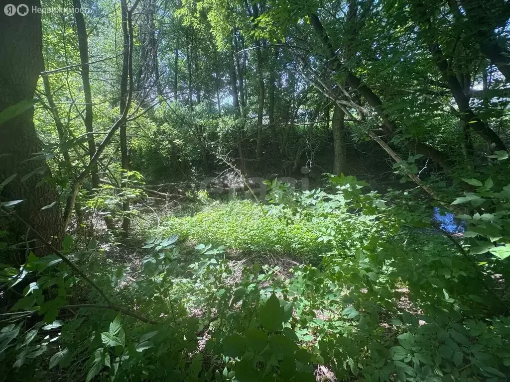 Участок в жилой массив Константиновка, Озёрная улица (9 м) - Фото 2