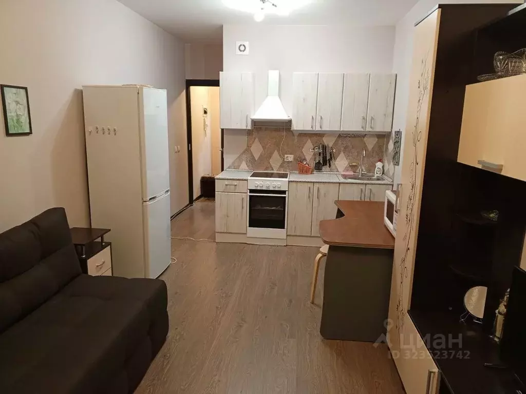 Студия Санкт-Петербург ул. Летчика Лихолетова, 14к2 (26.0 м) - Фото 1