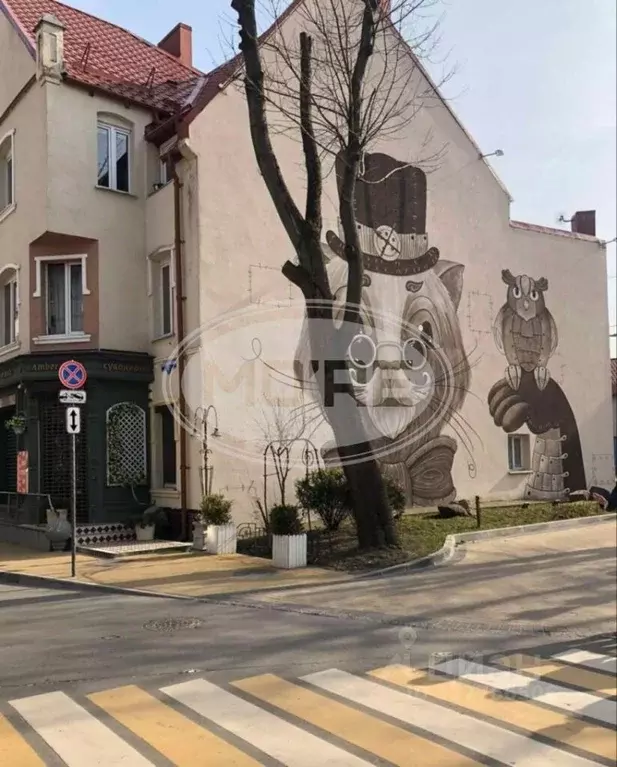 3-к кв. Калининградская область, Зеленоградск ул. Пугачева, 7 (48.0 м) - Фото 2