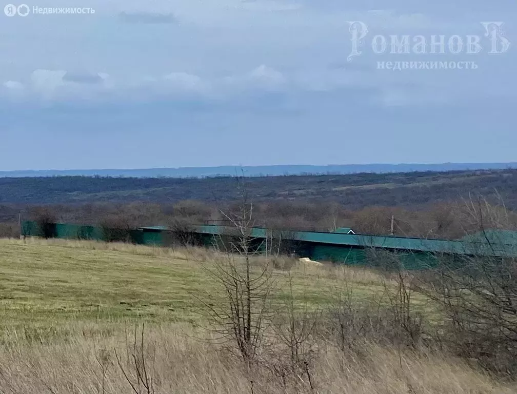 Участок в Ставропольский край, Шпаковский муниципальный округ, станица ... - Фото 1