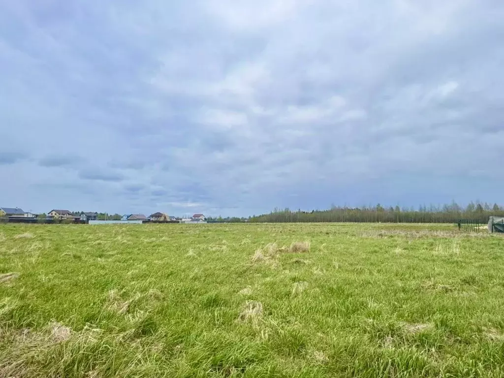 Участок в Ленинградская область, Лужский район, Заклинское с/пос, д. ... - Фото 2