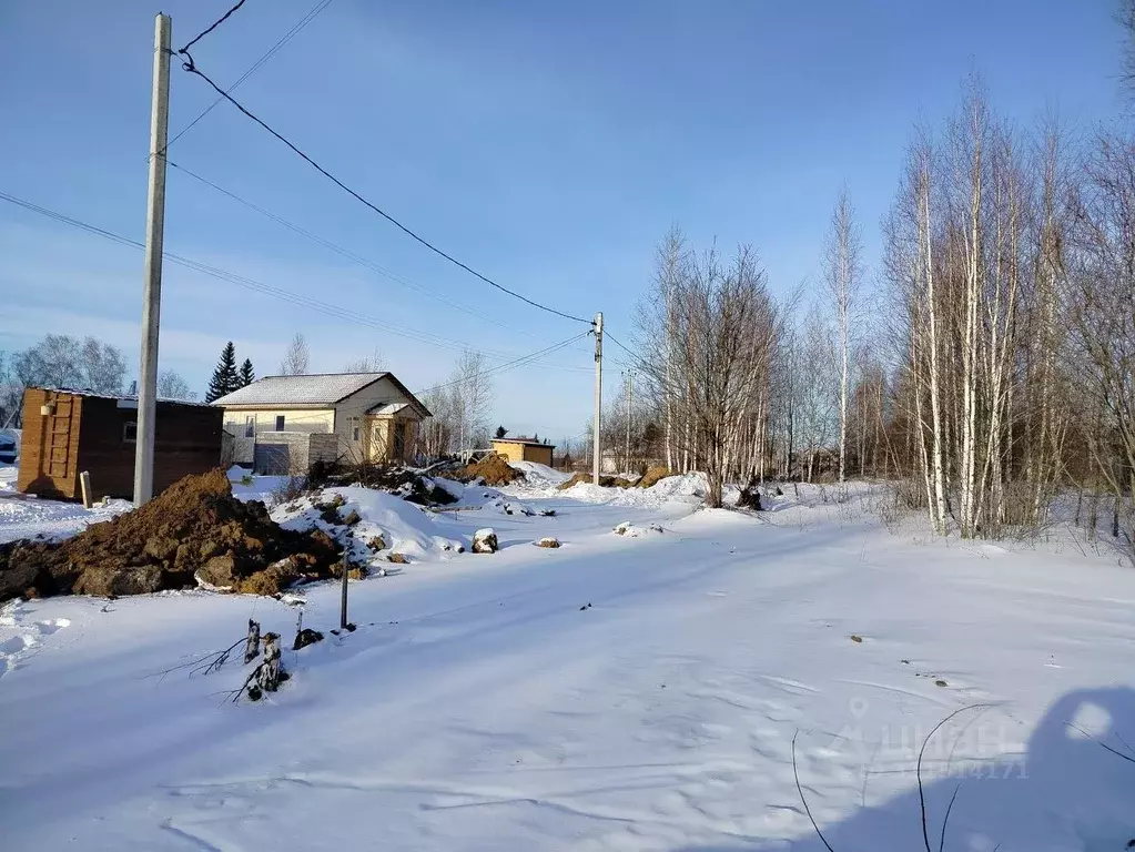 Участок в Новосибирская область, Новосибирский район, Станционный ... - Фото 0