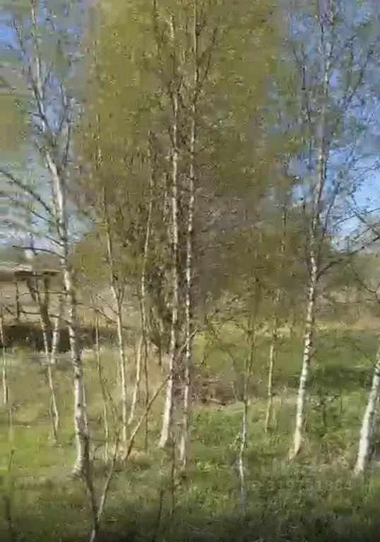 Участок, 10 сот., сельхоз (снт или днп) - Фото 0