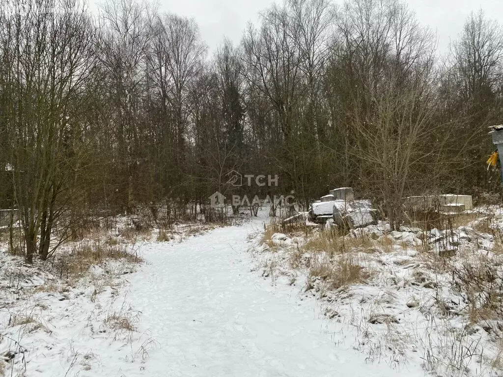 Участок в Московская область, городской округ Пушкинский, село Левково ... - Фото 0