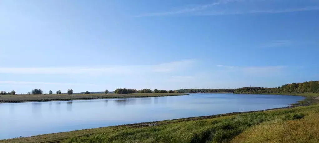 Участок в Ханты-Мансийский АО, Сургут № 5 садовое товарищество, ул. ... - Фото 0