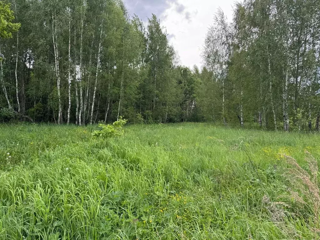 Участок в Московская область, Богородский городской округ, д. ... - Фото 0