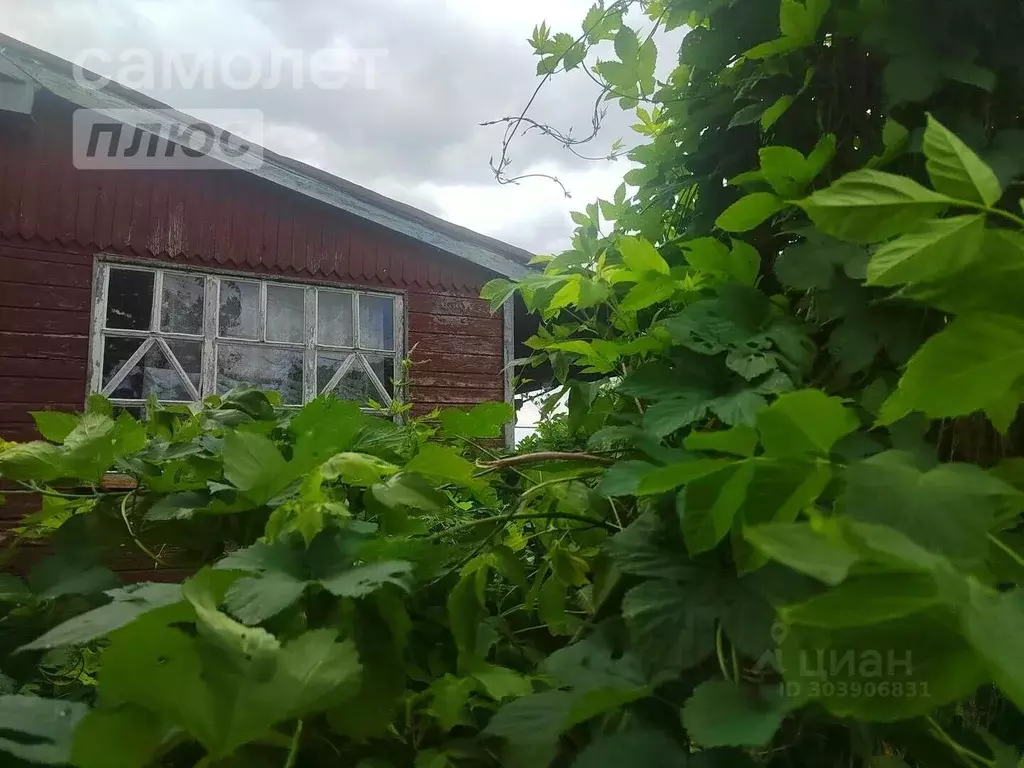 Дом в Белгородская область, Красногвардейский район, Засосенское ... - Фото 0