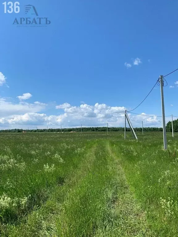 Участок в Вологодская область, д. Карцево  (10.2 сот.) - Фото 2