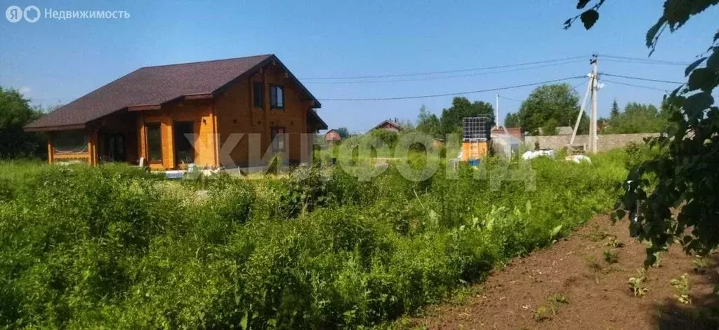 Участок в Колыванский район, НСТ Проектировщик (6 м) - Фото 1