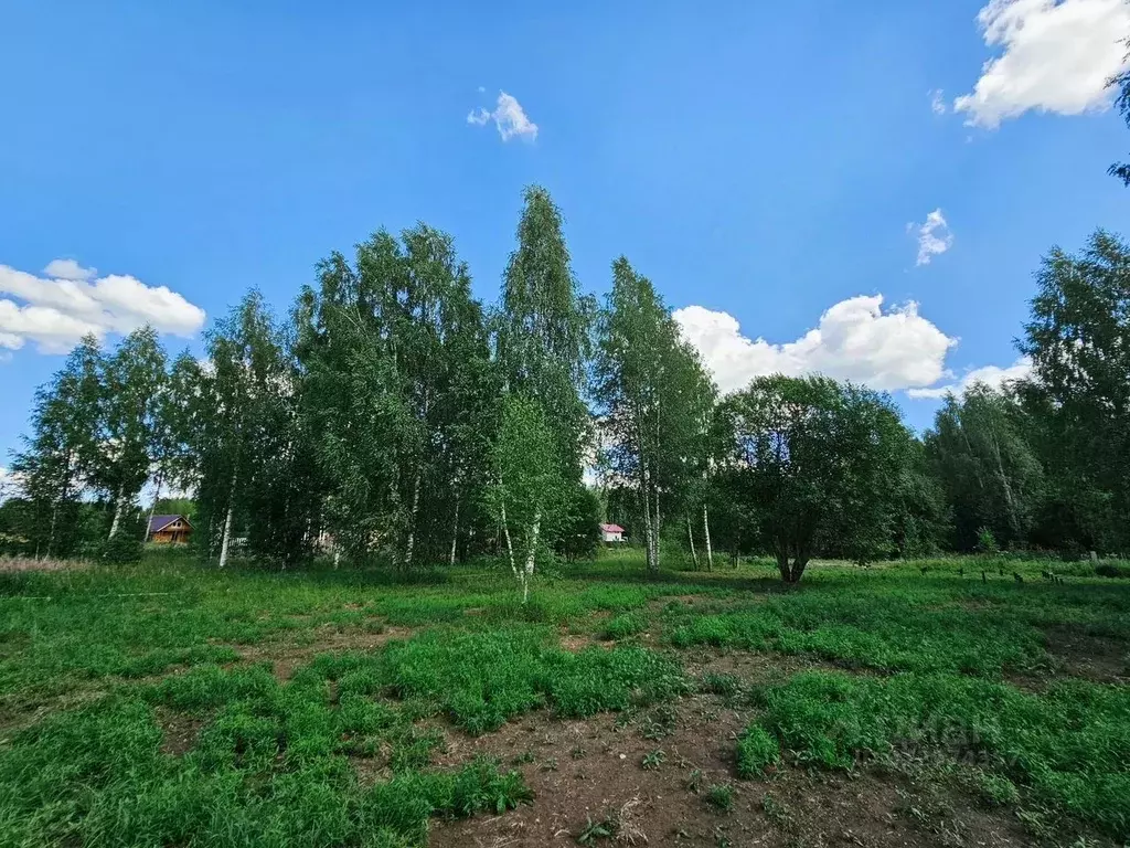 Участок в Ленинградская область, Тосно г. Тосненский район, Тосненское ... - Фото 0