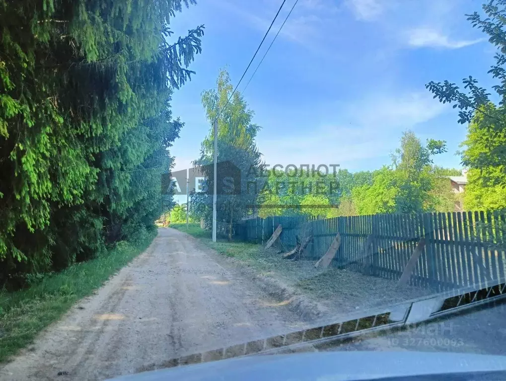 Участок в Новгородская область, Новгородский район, Ракомское с/пос, ... - Фото 2