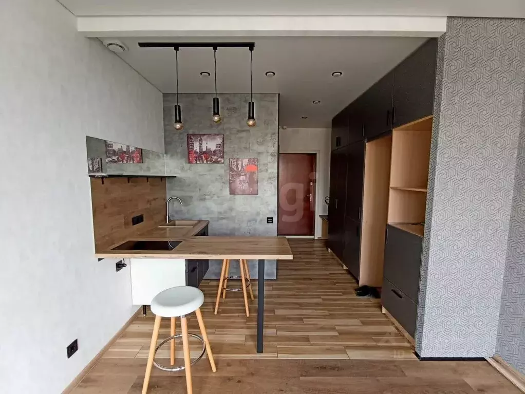 Студия Кемеровская область, Кемерово ул. Мичурина, 58к1 (24.7 м) - Фото 1