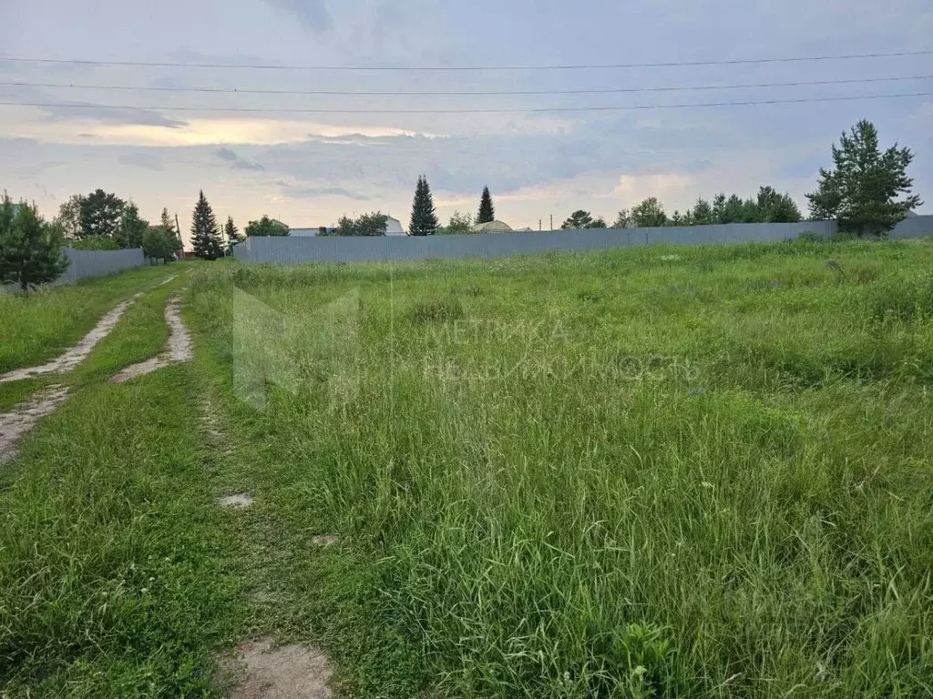 Участок в Тюменская область, Тюмень Поле Чудес садовое товарищество, ... - Фото 1