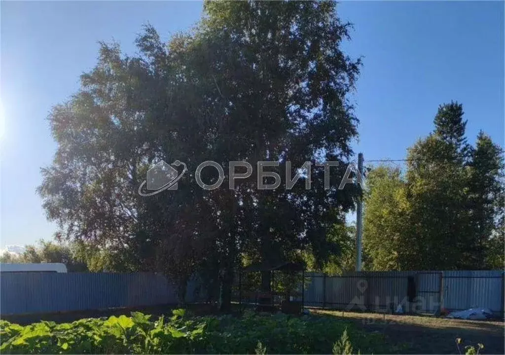 Участок в Тюменская область, Тюмень городской округ, Сосновая Поляна ... - Фото 1