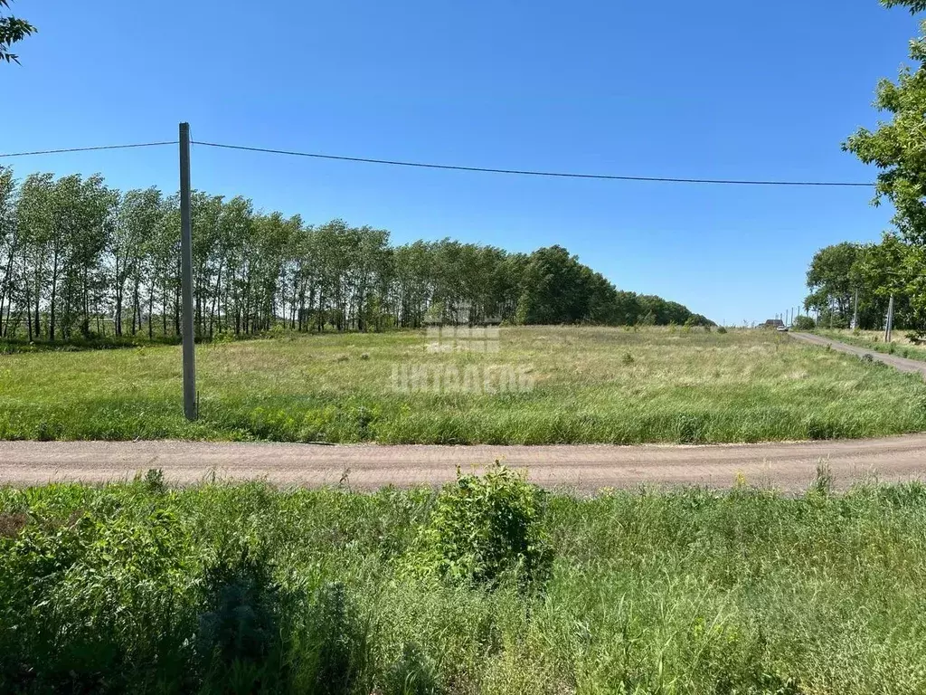 Участок в Воронежская область, Семилукский район, с. Девица ул. ... - Фото 1