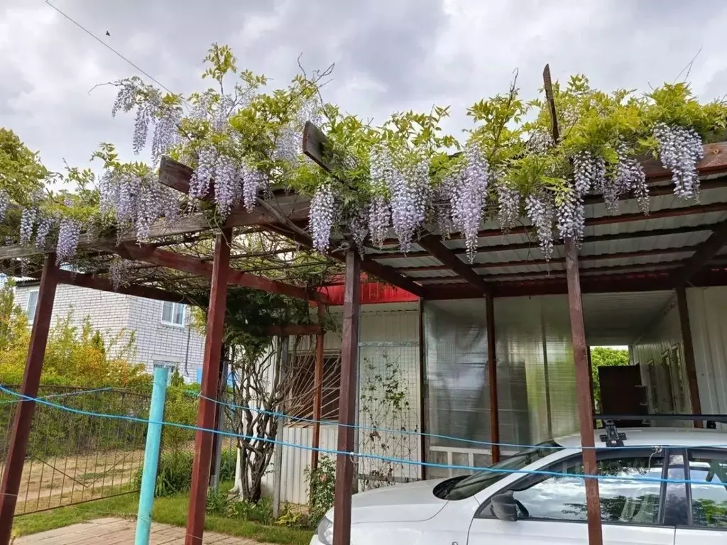 Дом в Волгоградская область, Дубовский район, Пичужинское с/пос, ... - Фото 2